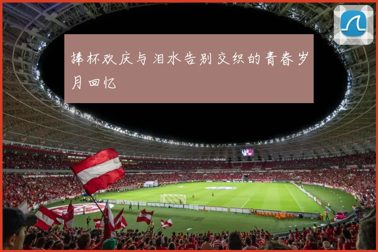 捧杯欢庆与泪水告别交织的青春岁月回忆